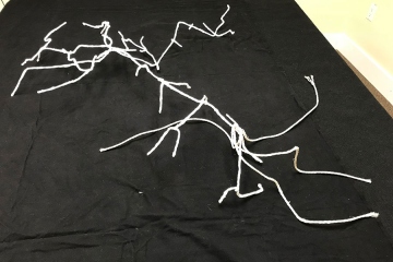 WHITE_LILI-EARTH_FIELD