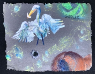 SADDLED-©2024LiliWhitedotcom-pastel-on-paper-9x12-2024-IMG_4910-SHOW-IT-is-on-CAFE-